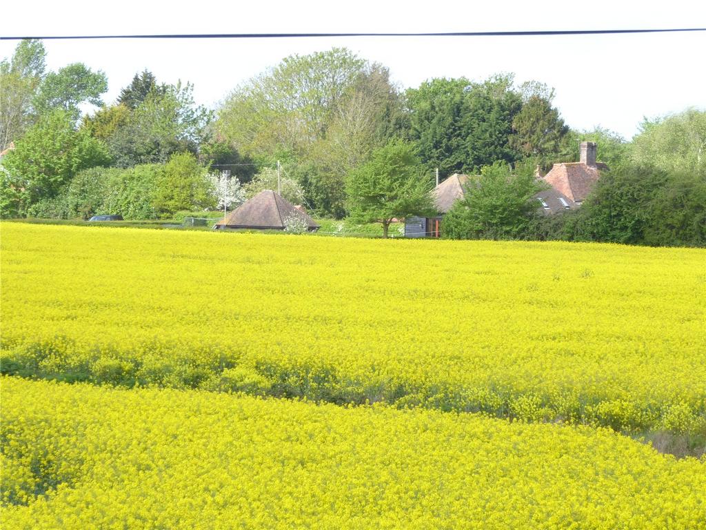 View To The House