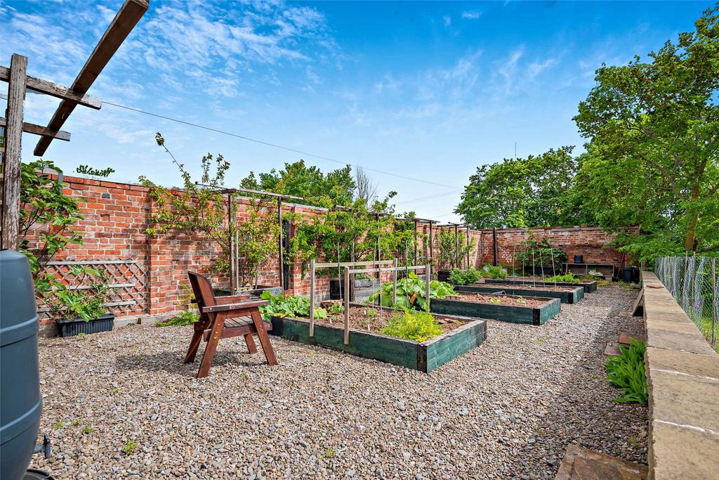 Vegetable Garden