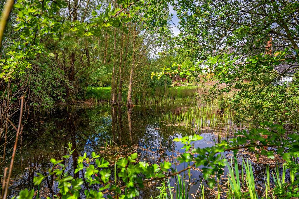 Natural Pond