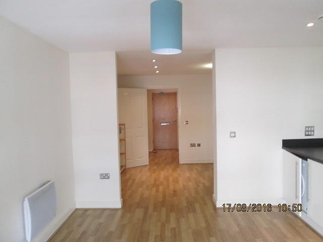 Living room/bedroom