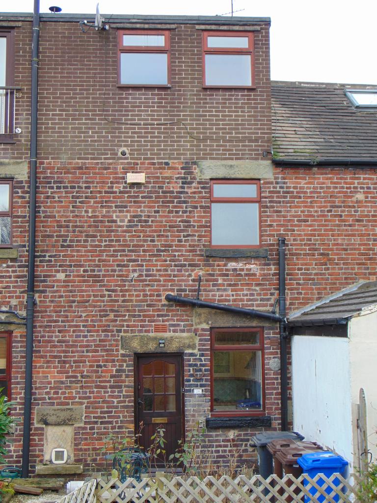 Rear Aspect