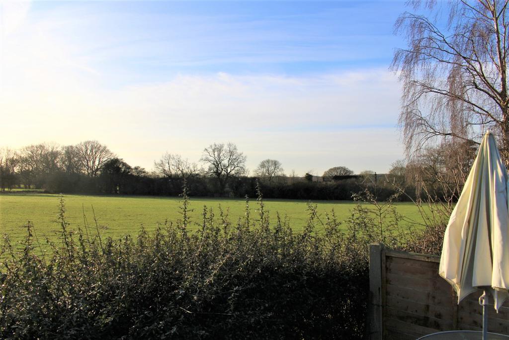 View From Garden