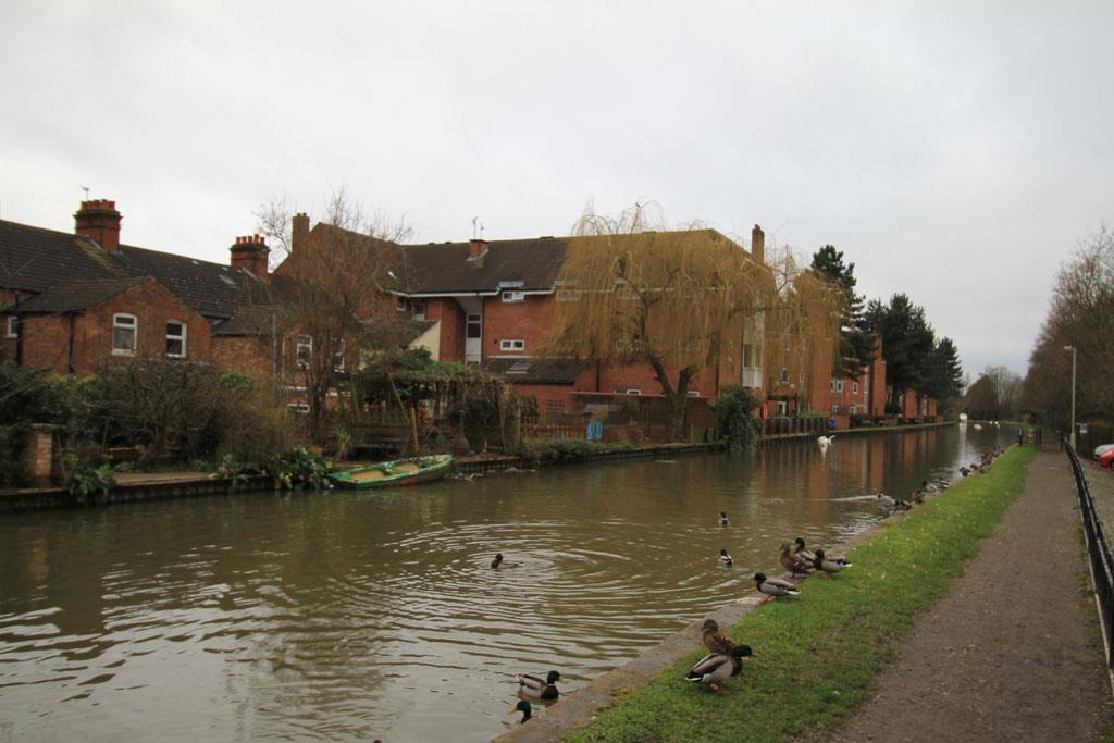 Canalside View