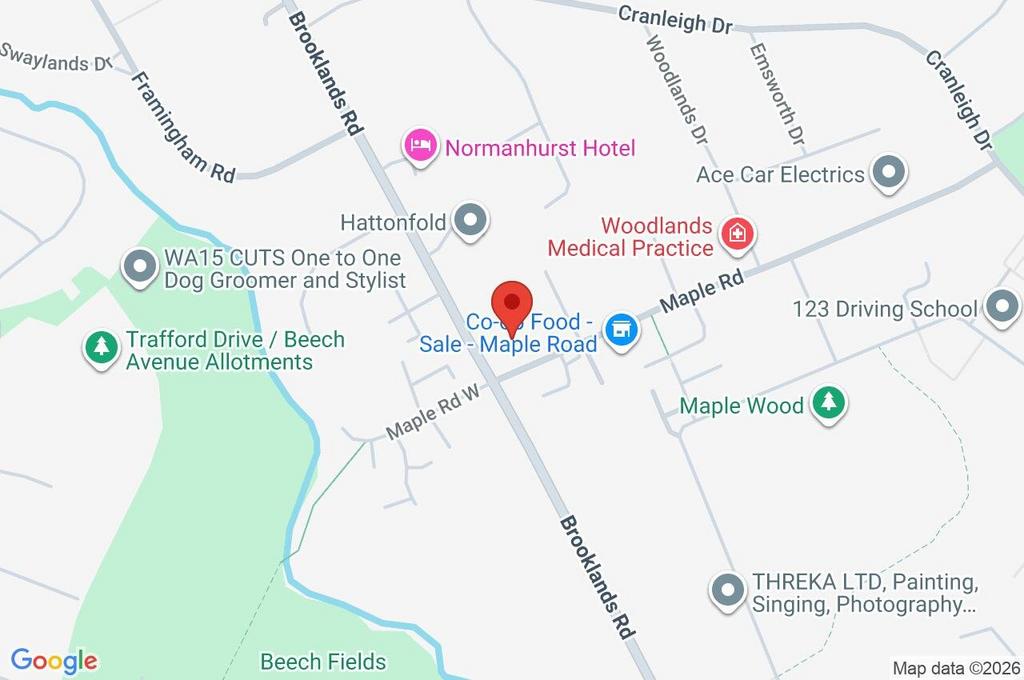 Google Maps Image
