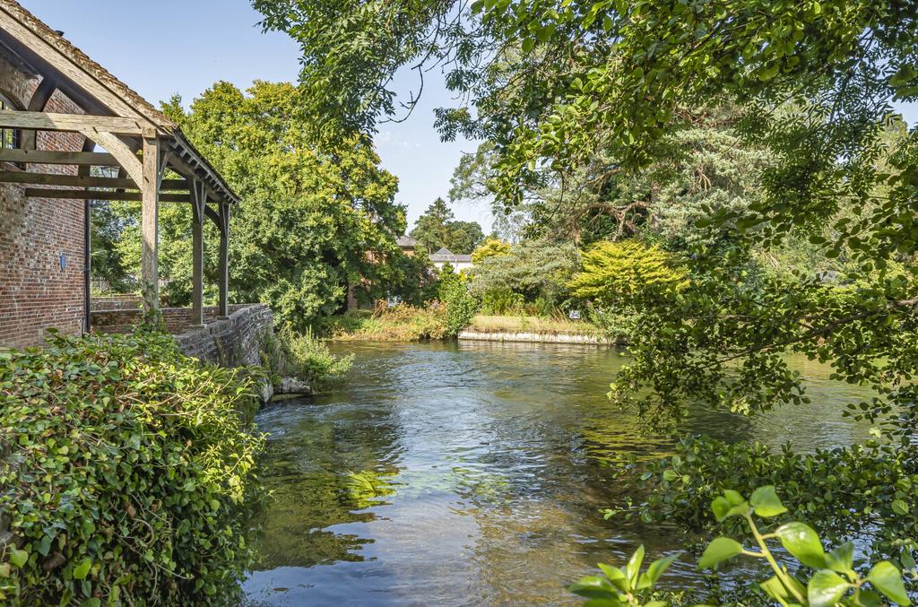1164094 (9).jpg