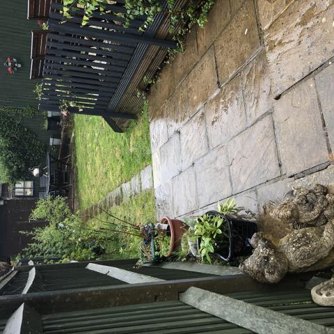 Patio Garden View