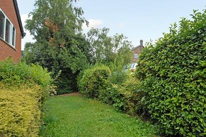 Communal Greenery