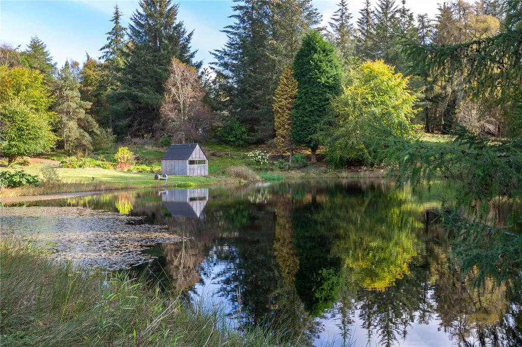 Pond & Garden