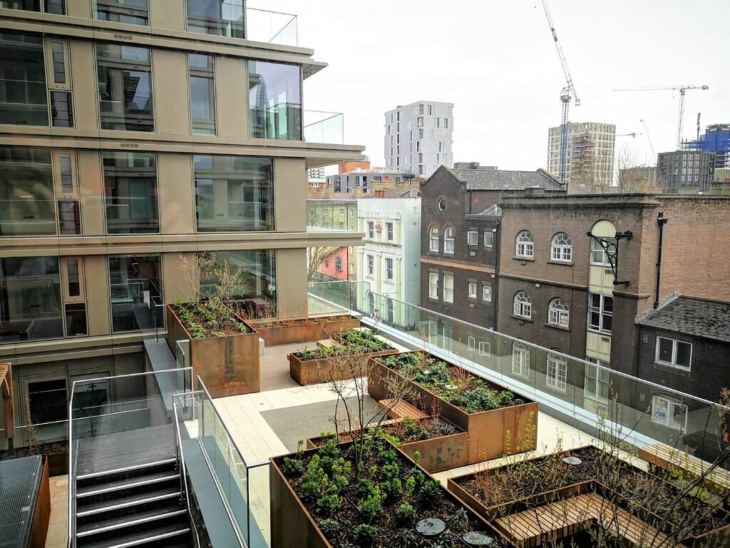 View from Lounge Rec