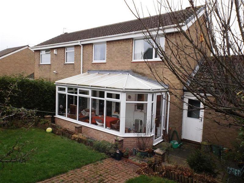 Rear Garden1