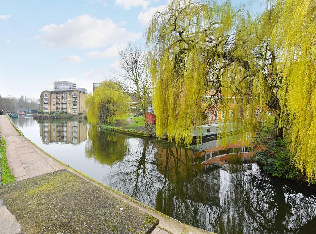 New cropped river image