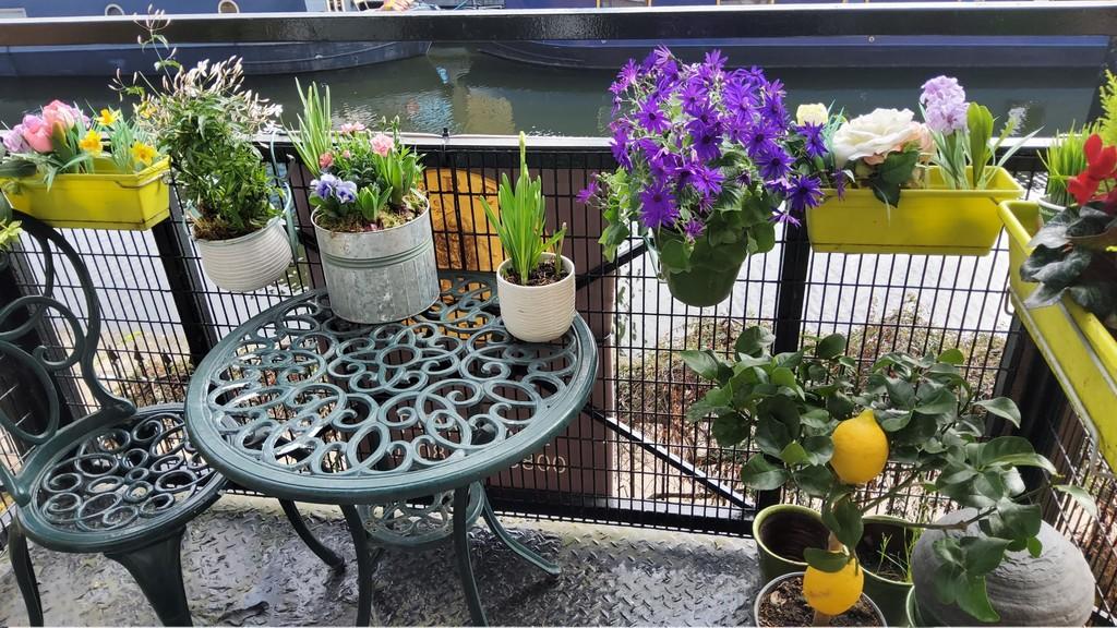 Owner balcony shot