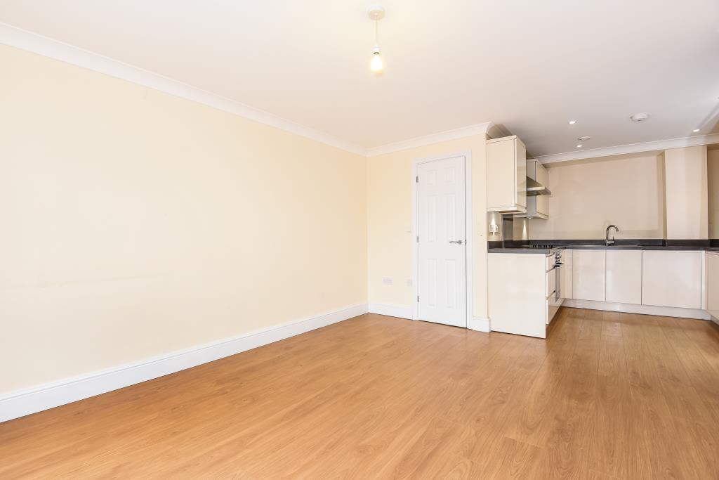 Living Area / Kitchen