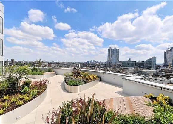 Roof Terrace