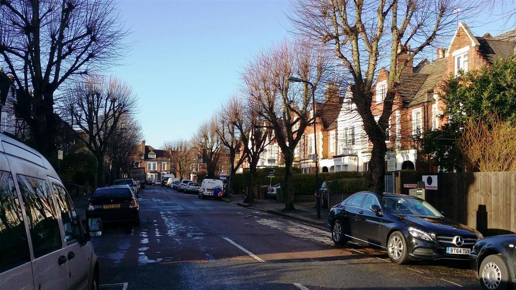 Broad tree lined street