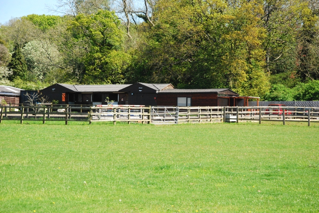 Hambledon Road Hambledon Equestrian Property 215 000
