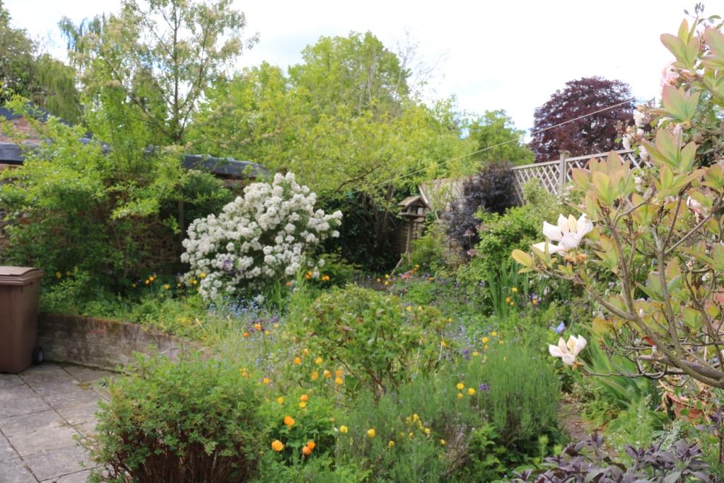 Garden 1