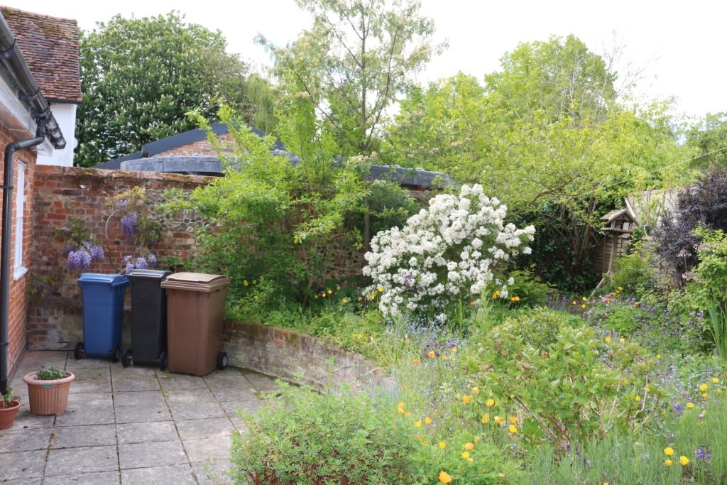 Garden 3
