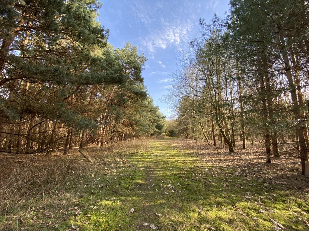 Bromeswell, Woodbridge IP12 Farm land £200,000