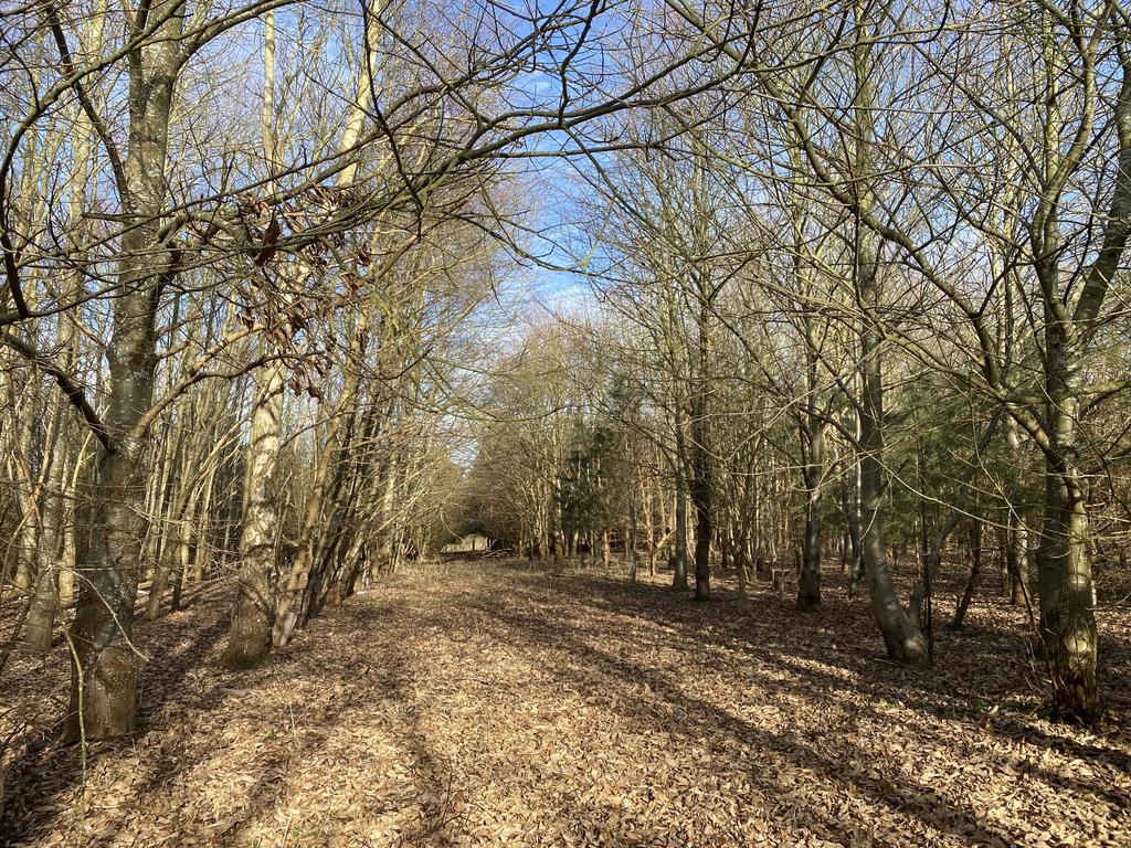 Bromeswell, Woodbridge IP12 Farm land £200,000