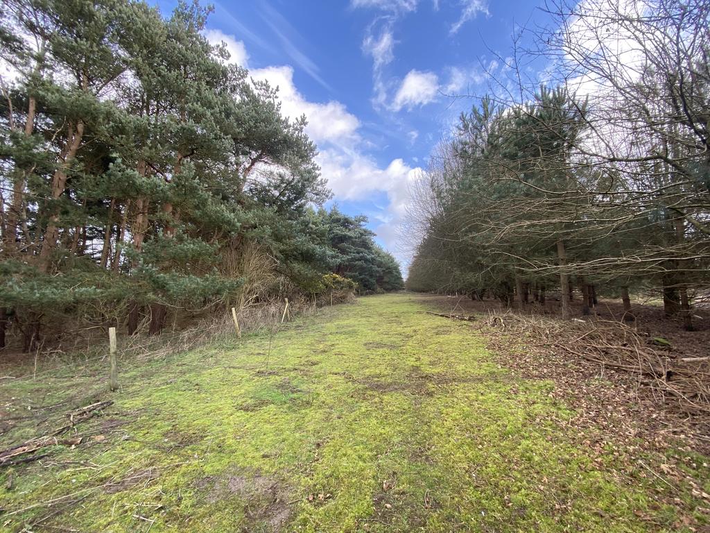 Bromeswell, Woodbridge IP12 Farm land £200,000