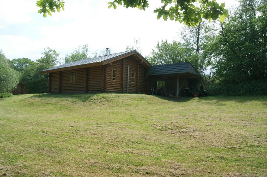 Photo 19