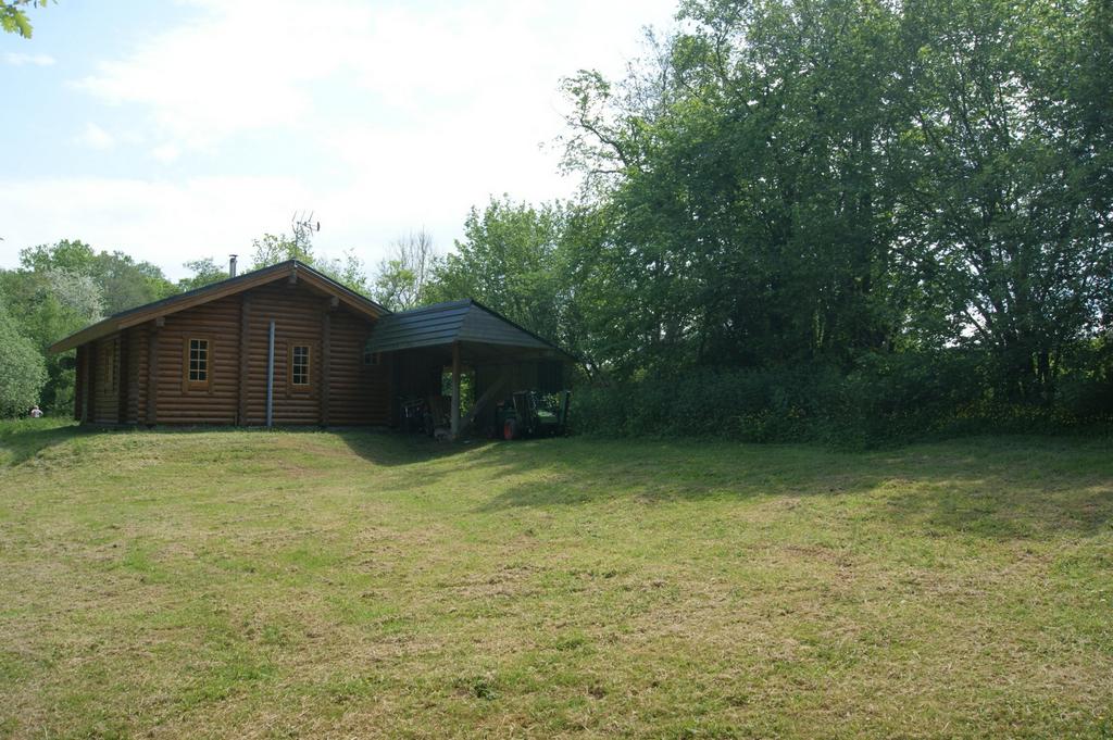 Photo 20