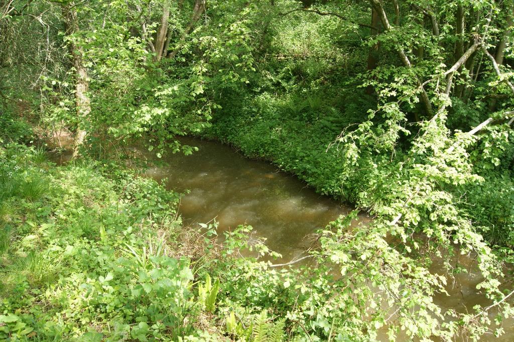 Photo 26