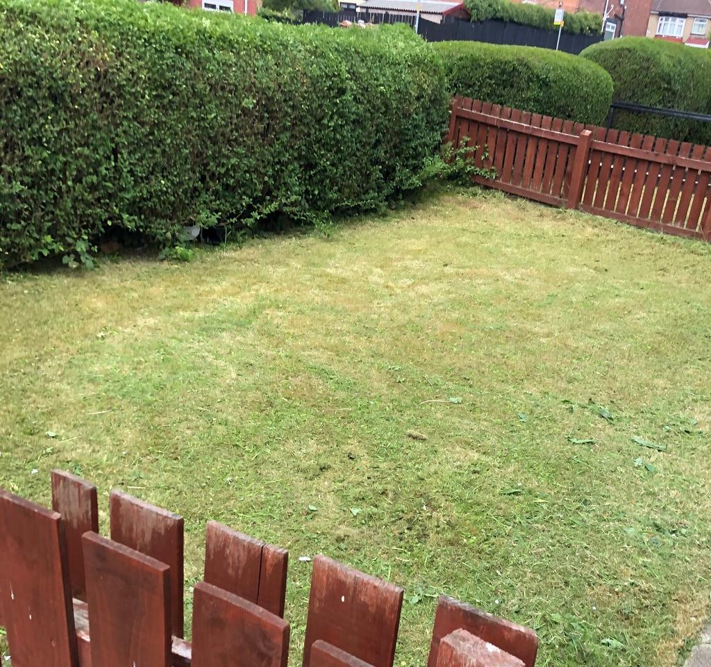 Front Garden