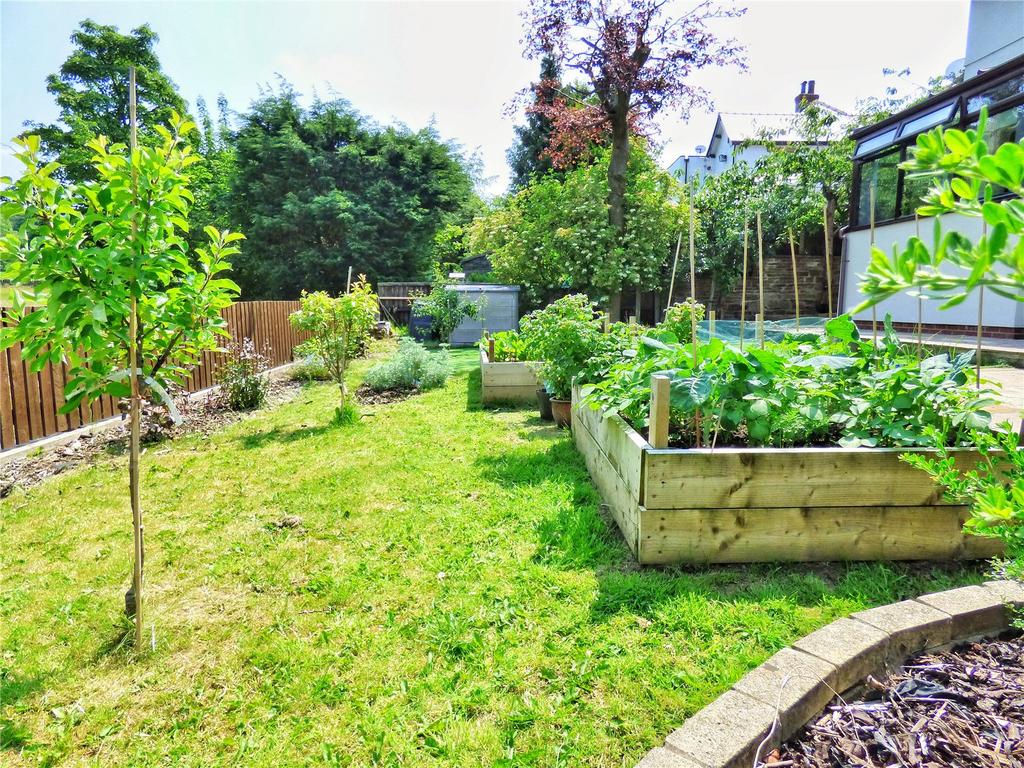 Rear Lawn