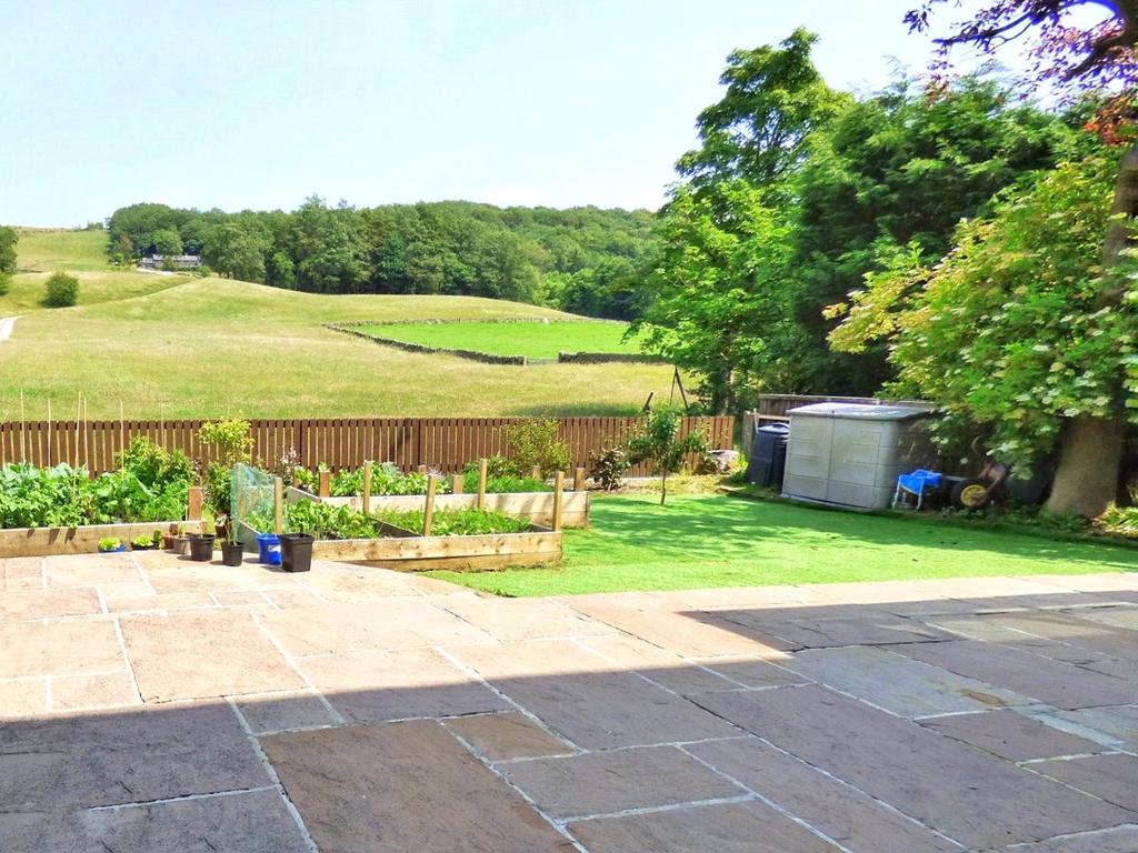 Rear Patio Garden