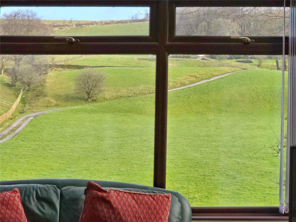Lounge Views