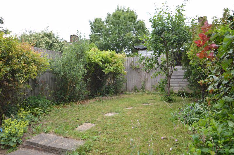 Back garden