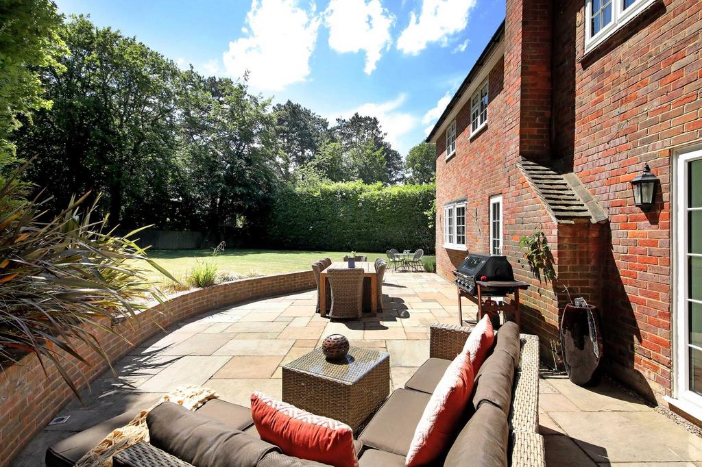 Sun Terrace
