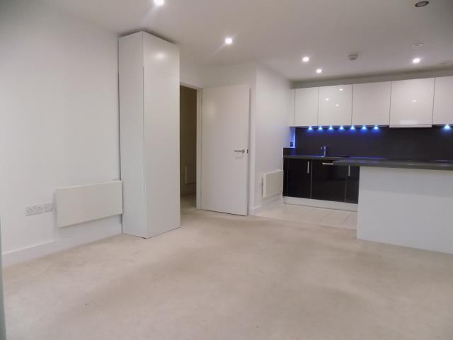 Living/Kitchen