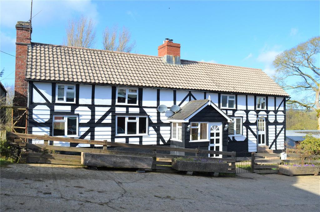 New Mills, Newtown, Powys, SY16 4 bed detached house £675 pcm (£156 pw)