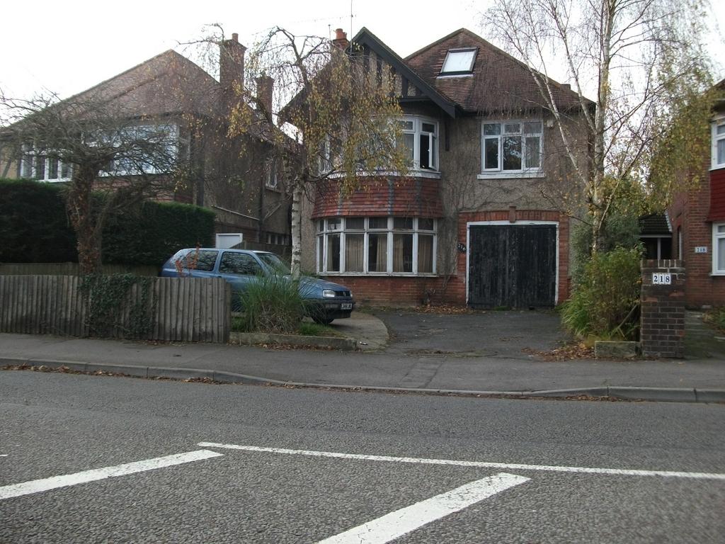 Main Image