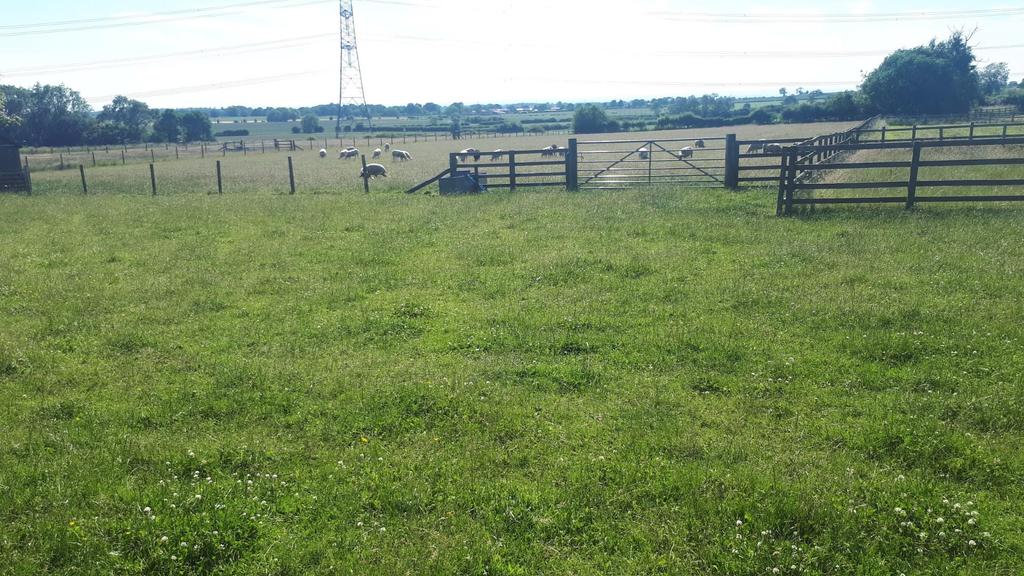 Carlton Husthwaite, Thirsk Land £35,000