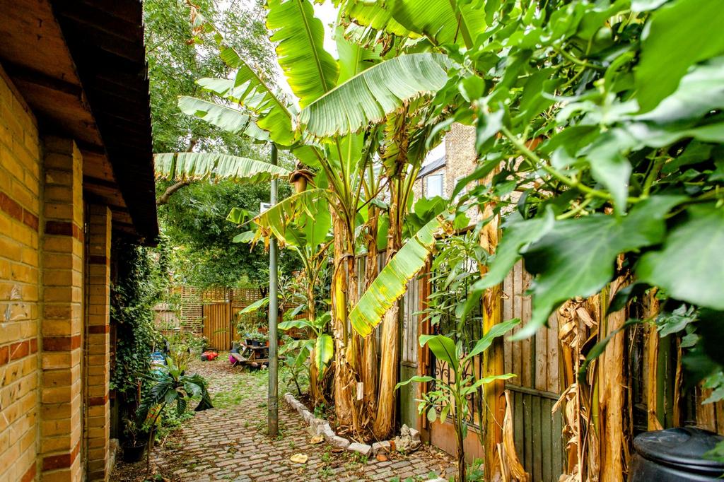 Communal Garden