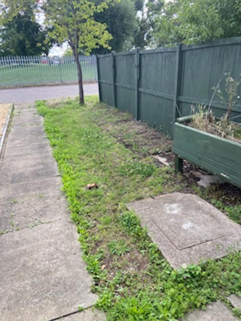 Side garden