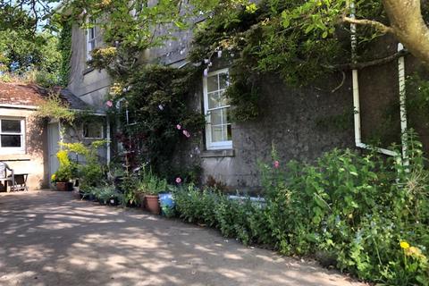 undefined, Buckyette, TOTNES TQ9