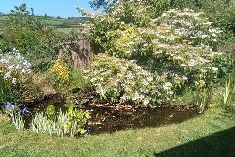 undefined, East Putford, Holsworthy, Devon