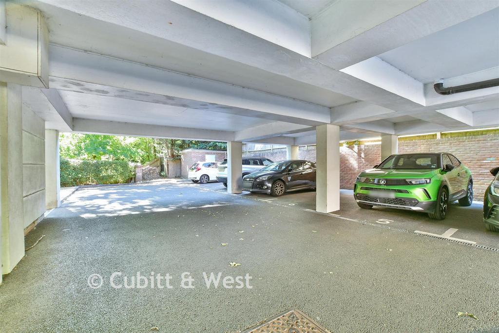 Driveway/Parking