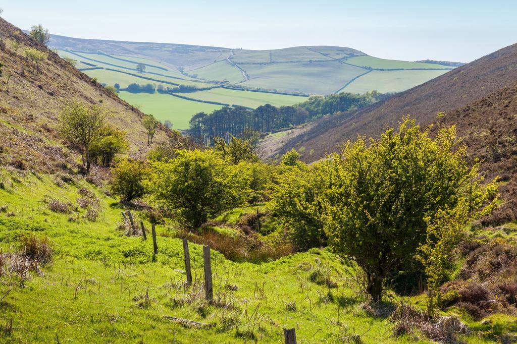 Exmoor