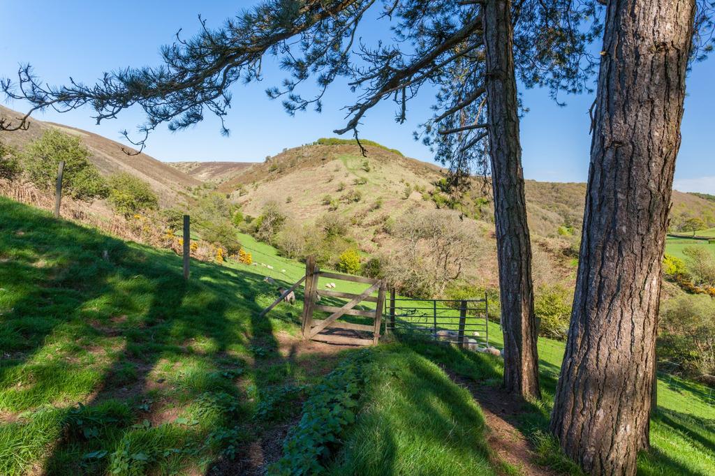 Exmoor