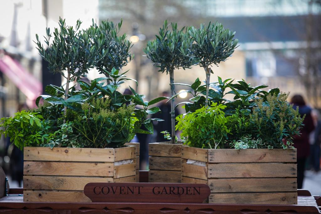 Tavistock Bow Covent Garden WC2