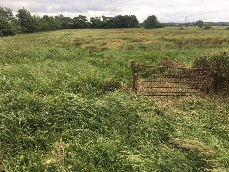 Wildlife Reserve Land off West Drove, Burtle, Somerset TA7 8NN Land £