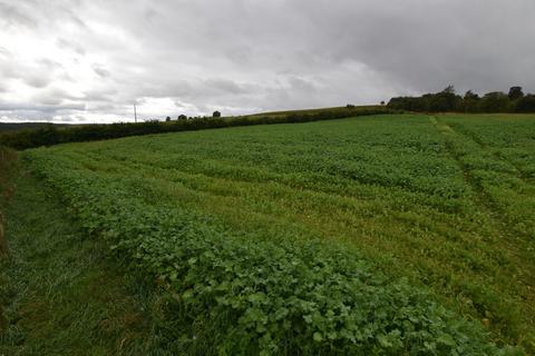 Land for sale, Site at Mill Of Towie, Keith