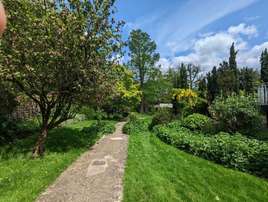 Communal Garden