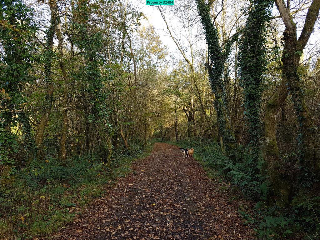 Local walk